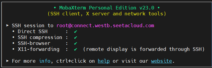 X11可用
